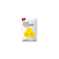 Peiulill 'Safari Yellow' kollased täidisõied (5-6 cm), 80s