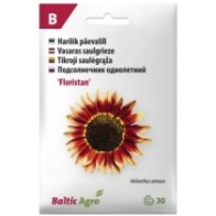 Päevalill 'Floristan' omapärase värviga, H 125 cm, õis 13-15cm, 30s