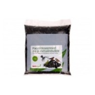 Päevalilleseemned lindudele 6 kg